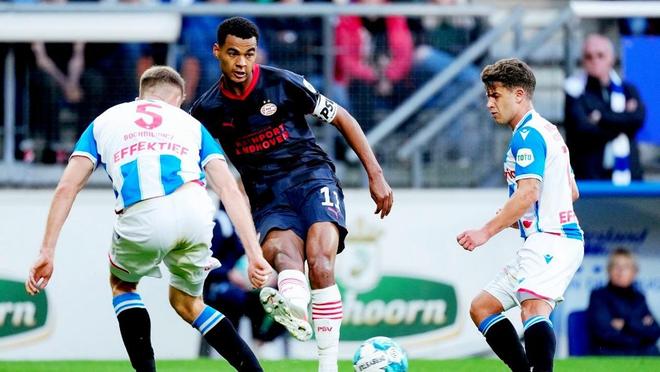 的小步快跑 的小步快跑