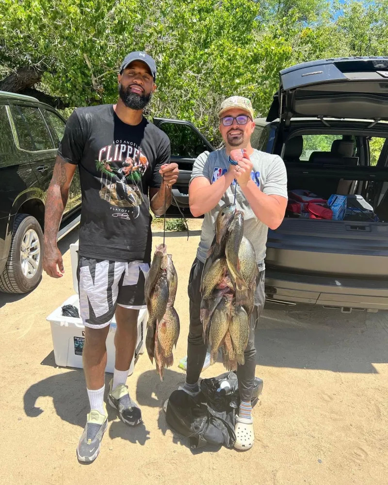 质内容竞争 质内容竞争